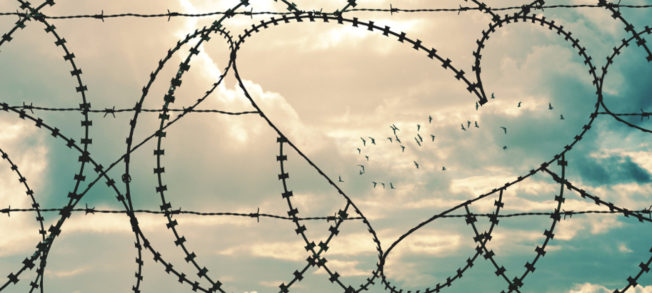 Reconciliation, birds flying, wire fence